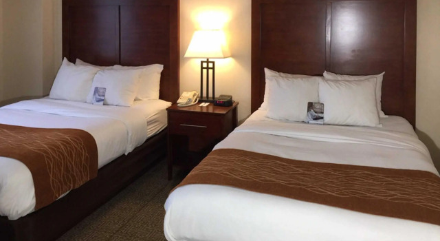 Четырёхместный номер Standard Comfort Inn Conference Center