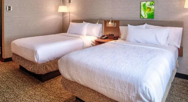 Номер Premium Hilton Garden Inn Detroit Southfield