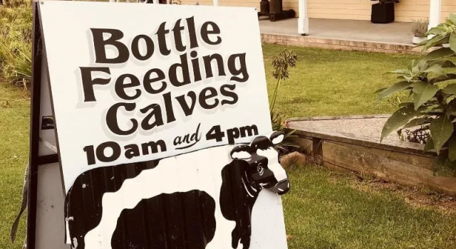Bodalla Dairy Shed Guest Rooms, Book Guesthouse Narooma Eurobodalla