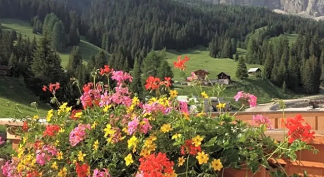 Номер Executive Lupo Bianco Wellness & Walking Hotel