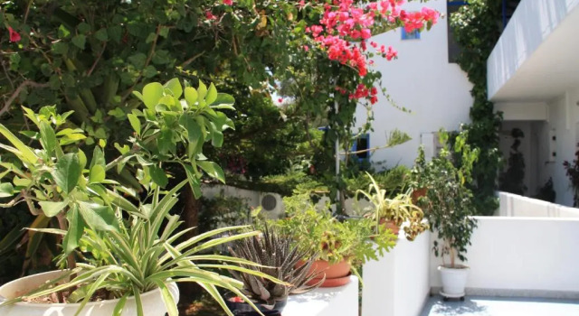 Номер Standard Loukia Apartments & Studios