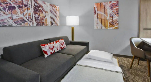 Студия SpringHill Suites by Marriott Chattanooga North/Ooltewah