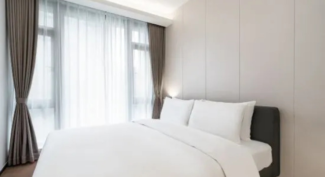 Люкс c 1 комнатой CJIA Apartment Hotel (Shenzhen Shatoujiao Metro Station)