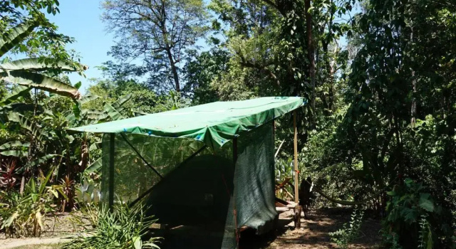 Тент Mohagine Hotel