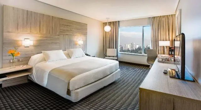 Одноместный номер Standard Pullman Santiago Vitacura
