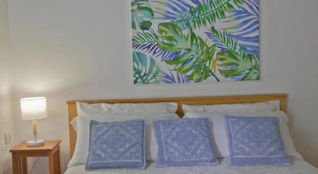 Jungle House - Pineta Is Morus
