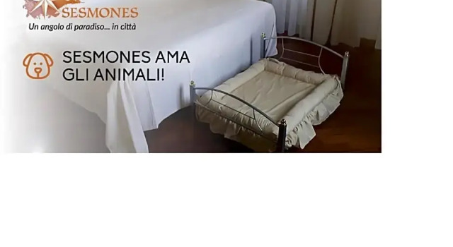 Номер Deluxe Hotel Sesmones