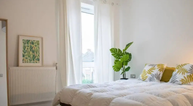 Beautiful And Cosy 1 Bed Flat in Stoke Newington