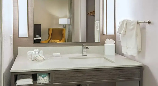 Люкс c 1 комнатой Hilton Garden Inn Las Colinas