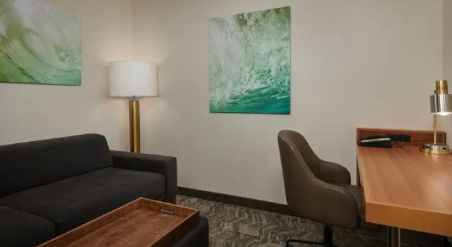 Номер Standard SpringHill Suites by Marriott Baton Rouge North / Airport