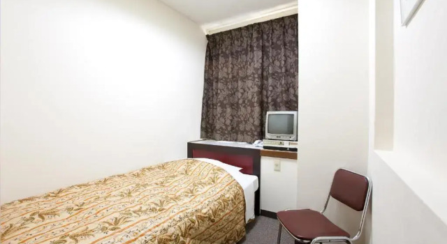 Одноместный номер Standard Hotel Hayashi