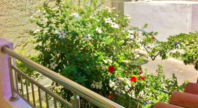Апартаменты с балконом и с видом на сад Apollonia Apartments
