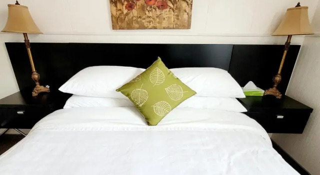 Двухместный люкс Lido Motel