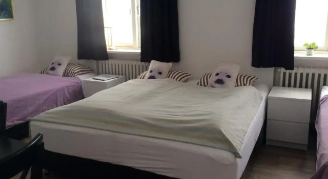 Четырёхместный номер Standard The Castle