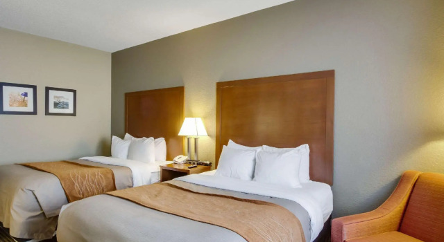 Четырёхместный люкс Comfort Inn & Suites Bellevue - Omaha Offutt AFB