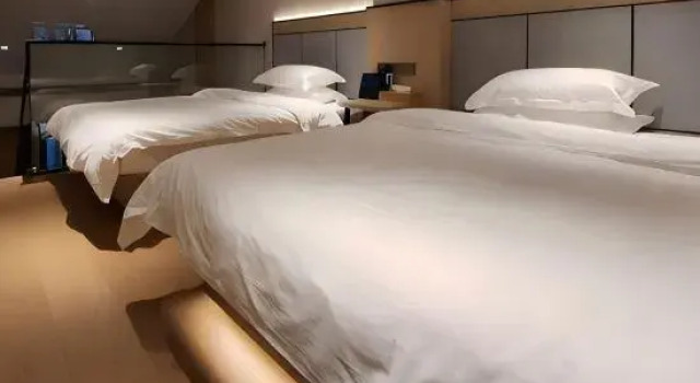 Двухместный люкс Дуплекс Jedda Hotel (Shanghai Luodian Ancient Town)