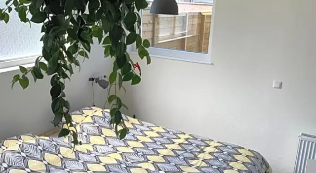 Oostvoornsch Gastenverblijf, Book Hotel Oostvoorne Zuid-Holland
