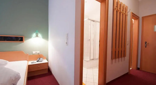 Одноместный номер Standard Hotel Alpenfriede