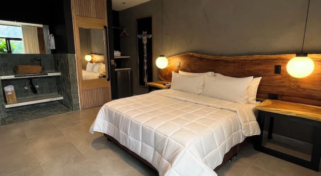 Номер Classic Hotel Zelva Negra