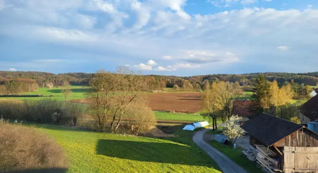Номер Standard Pension am Wald