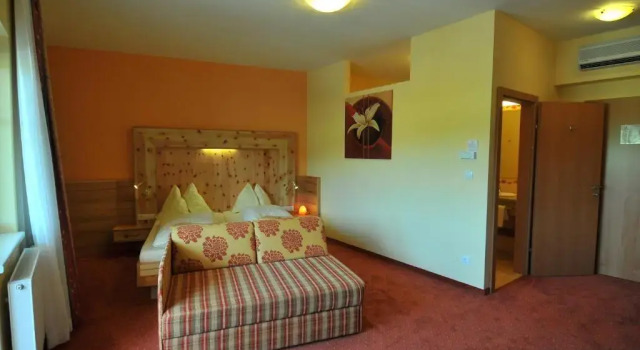 Номер Standard Thermenhotel PuchasPLUS Stegersbach