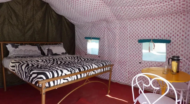 Mogli Camps, Rezervovat Hotel Rišikéš Uttarakhand