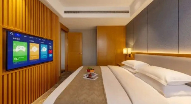 Люкс Executive с видом на город Liupanshui Boya Hotel