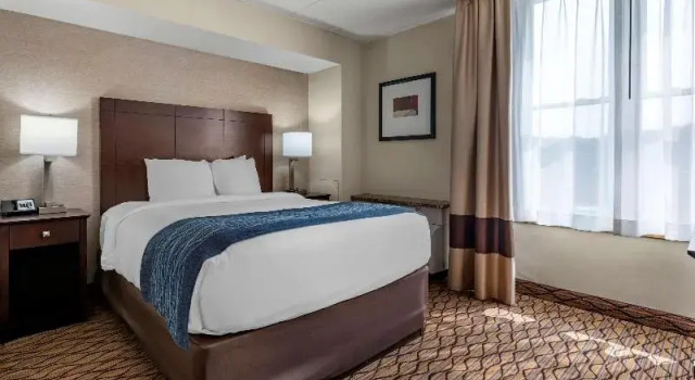 Люкс Standard Comfort Inn & Suites Glen Mills - West Chester