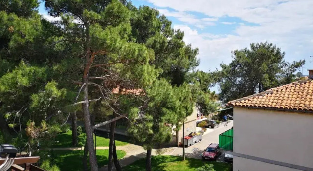 Апартаменты Цокольный этаж Apartment Sinčić