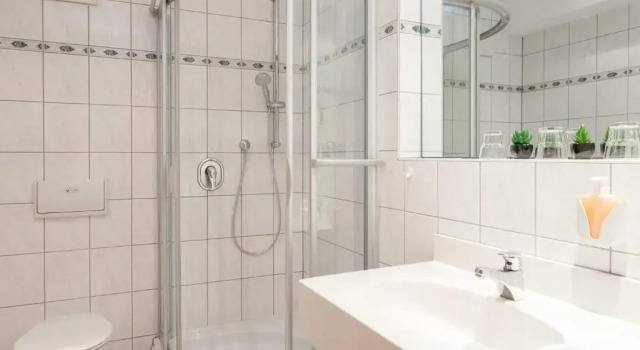 Одноместный номер Standard Hotel Aulmann