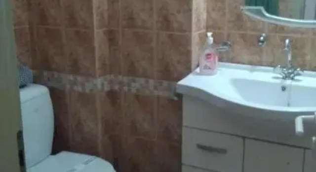 Номер Standard Palatino