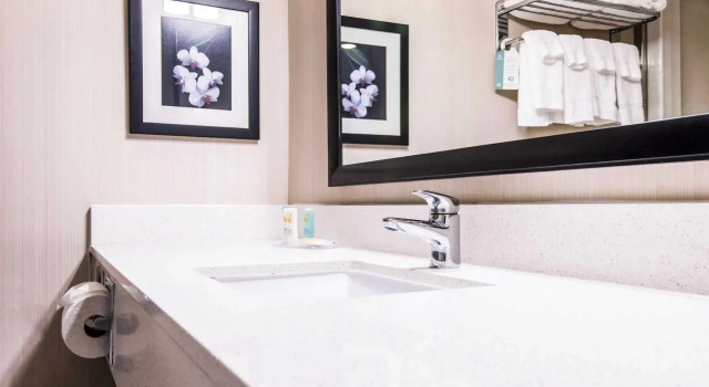 Номер Standard Spark by Hilton Toronto Mississauga