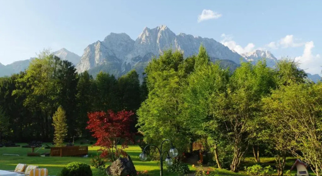 Двухместный номер Standard с видом на горы Alpenhof Grainau
