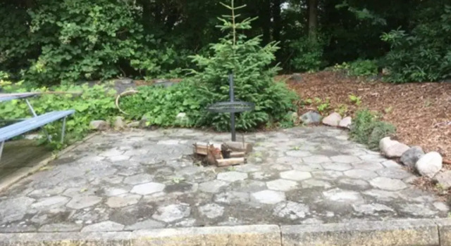 Treehouse B&B, Réserver Chambre d'hôtes Rabjerg Falster