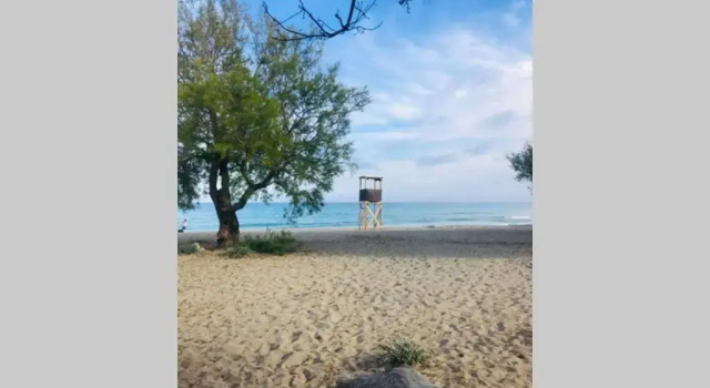 Апартаменты Sea view apartament 5C with pool 150 Meters Canyamel Beach