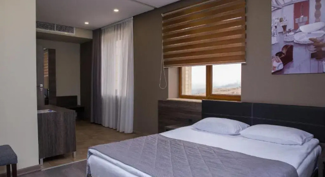 Standard Double room Bien hotel