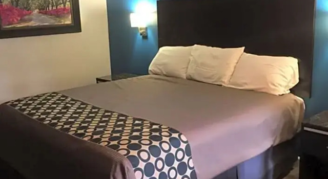Номер Deluxe Touristlodge