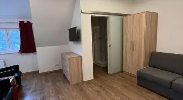 Семейный номер Standard Hotel Clemens