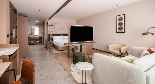 Номер Premium Hilton Garden Inn Xinyang East Railway Station