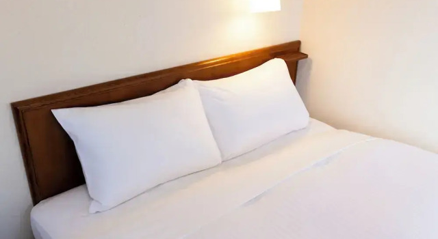 Двухместный номер Standard Tennen Onsen Ariston Hotel Oita