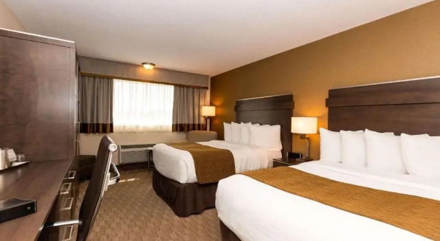 Номер Executive Quality Inn & Suites