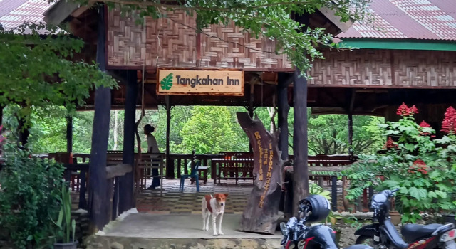 Tangkahan Inn RedPartner