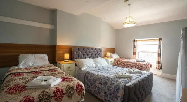 Номер Comfort The Central Hotel