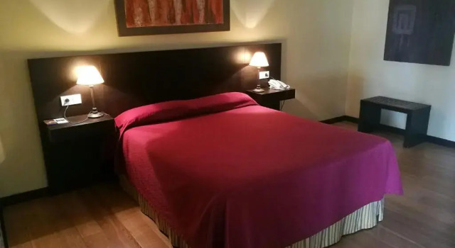 Двухместный номер Economy Hotel Pazo de Lestrove by Pousadas de Compostela
