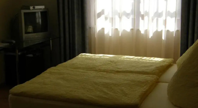 Двухместный номер Standard Hotel Pension zu Dresden Altpieschen