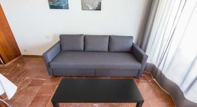 Palmeras 2.2/2.5