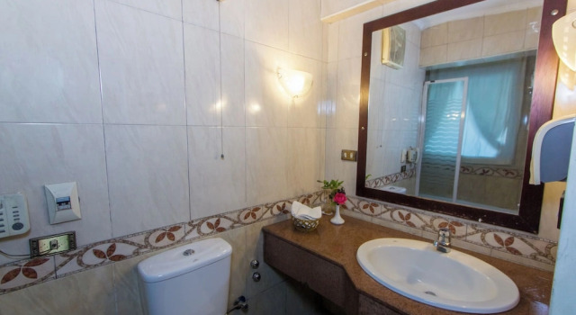 Luksusowy jednoosobowy pokój z widokiem na miasto Philae Hotel Aswan