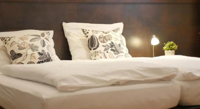 Двухместный номер Standard Hotel Refrather Hof