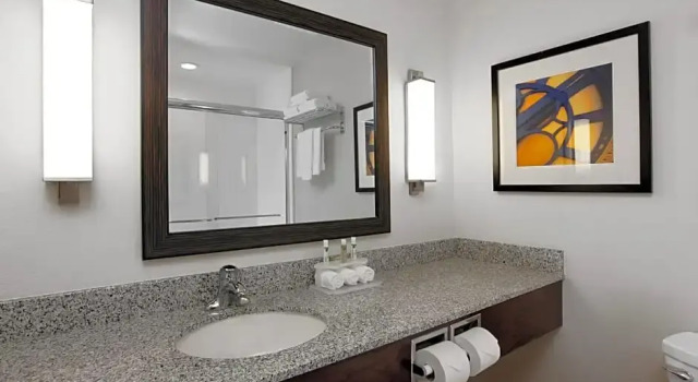 Двухместная студия Holiday Inn Express & Suites Omaha South Ralston Arena by IHG