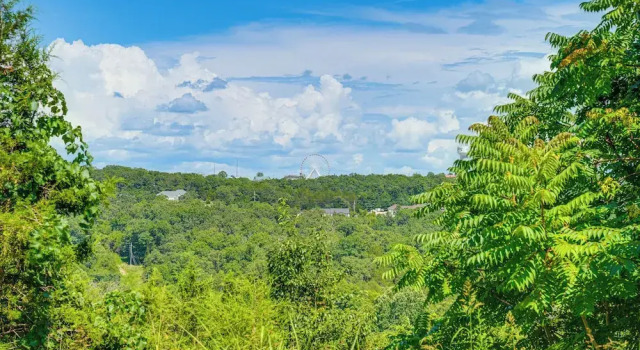 Апартаменты 'groovy Games Getaway' Holiday Stay in Branson!